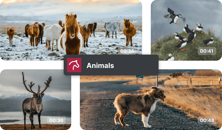 AI Media Management from Video Pro X AI Media Management from Video Pro X