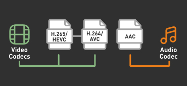 Een codec is als het ware de 'taal' die de video spreekt, waarmee de bits en bytes worden samengevoegd tot een beeld.