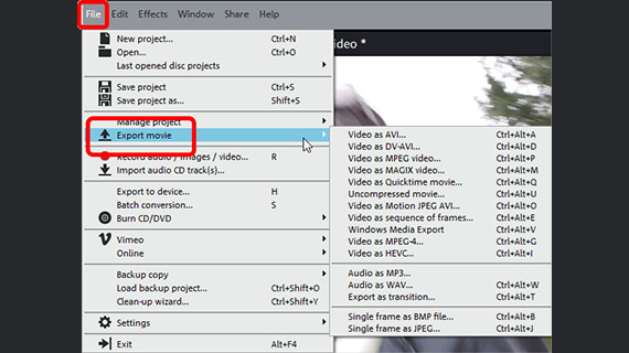 video format supported by video edit magic